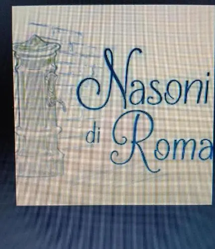Apartahotel Nasoni Di 3*