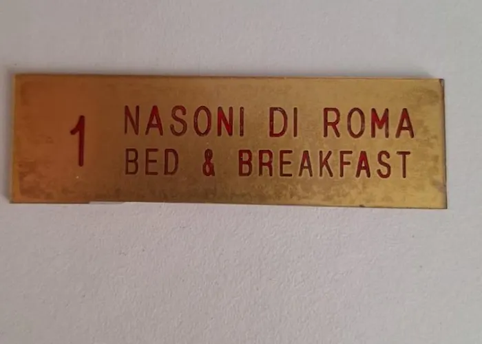 Aparthotel Nasoni Di