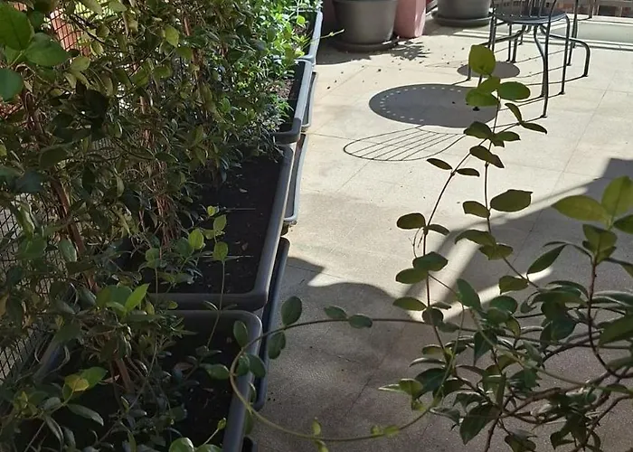 Aparthotel Nasoni Di 3*