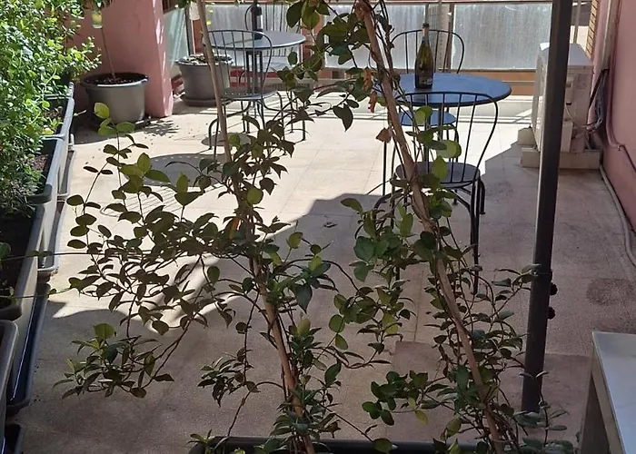 Nasoni Di Rom