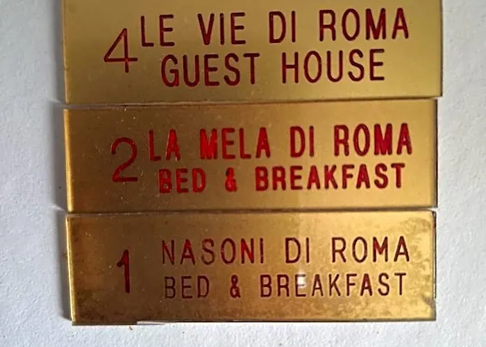 Nasoni Di