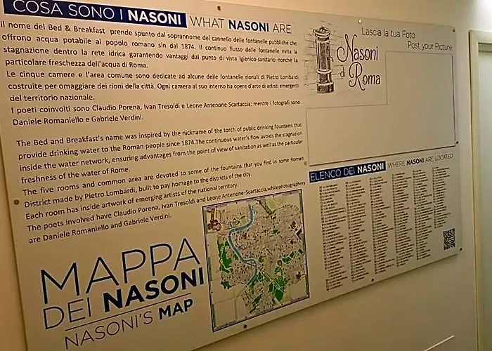 Apart Otel Nasoni Di 3*
