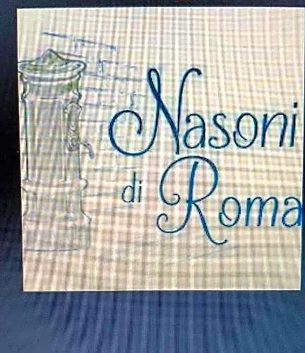 Apart Otel Nasoni Di Roma